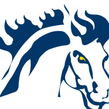 Mount Mercy University