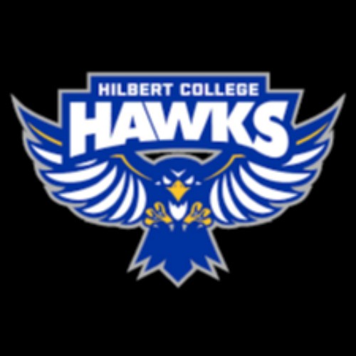 Hilbert College
