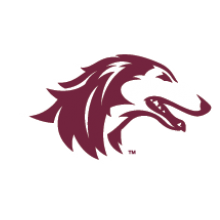 Southern Illinois University Carbondale