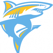 Long Island University