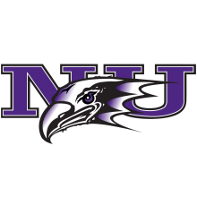 Niagara University