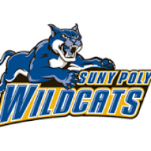 SUNY Polytechnic Institute