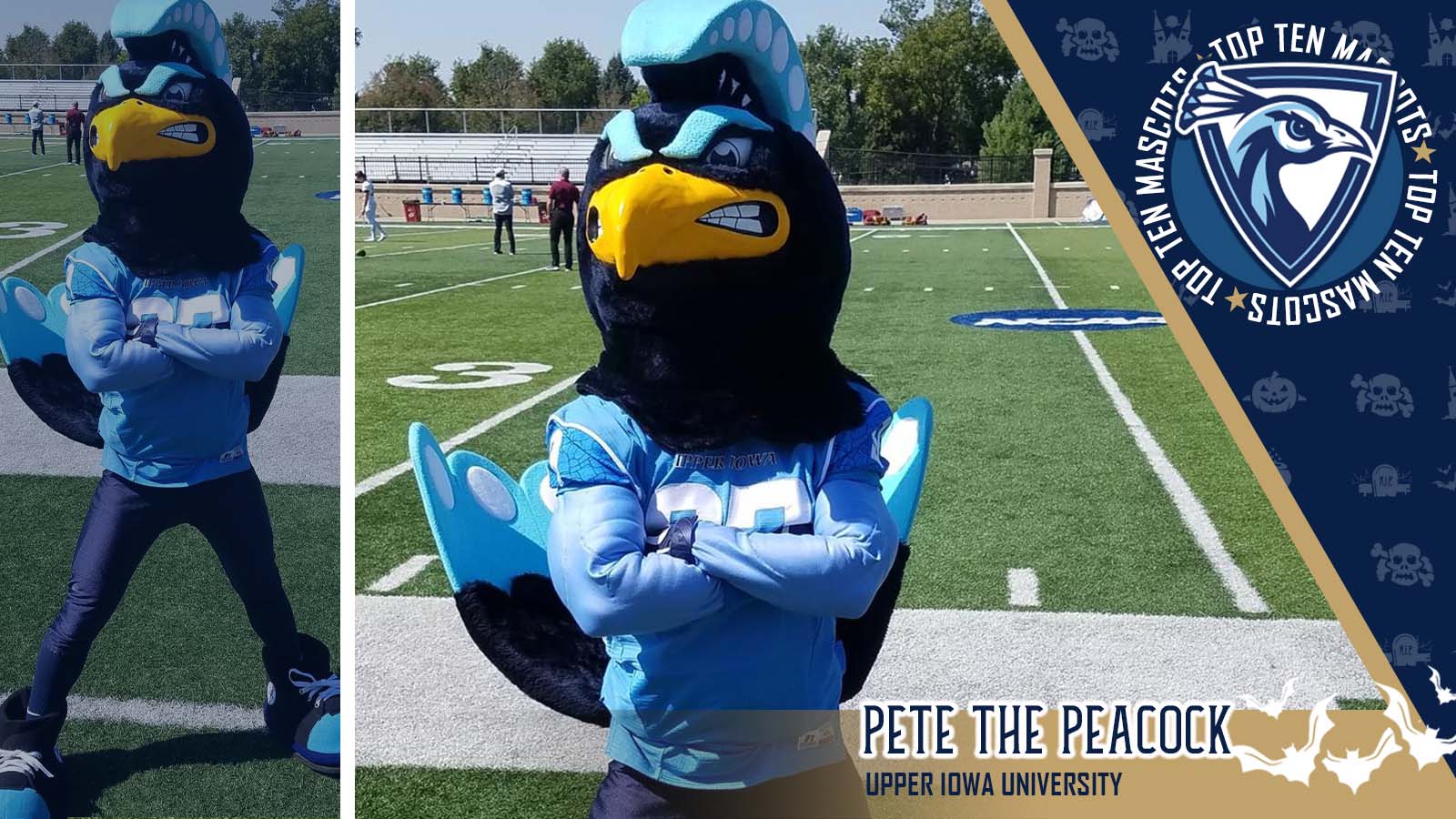 Pete The Peacock - Upper Iowa University